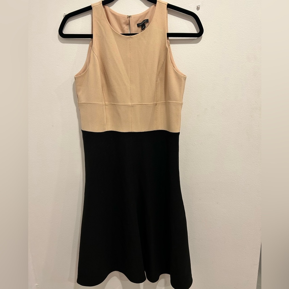 Ann Taylor rose and black dress